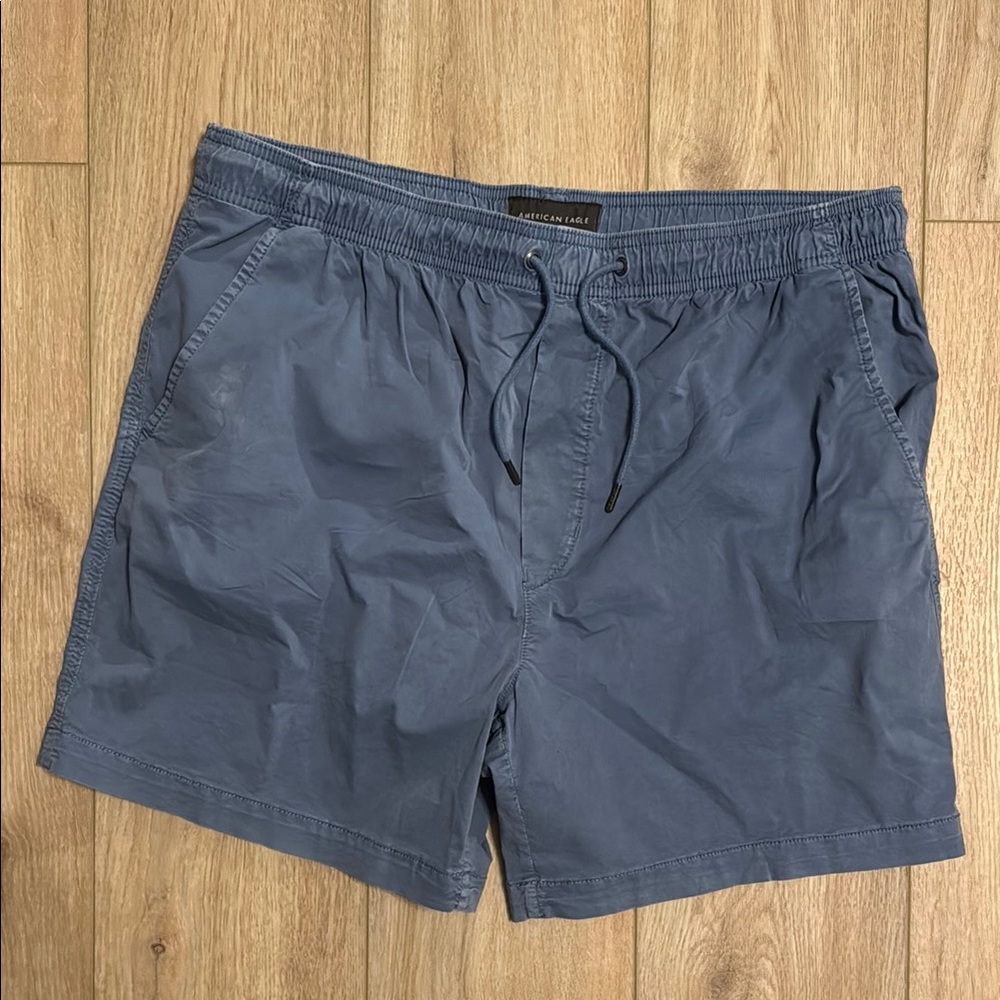 American Eagle Outfitters Blue Flat Front Men Shorts